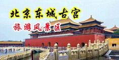 扣逼揉豆豆动漫视频中国北京-东城古宫旅游风景区